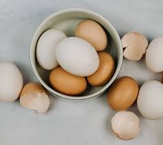Biotin content in eggs